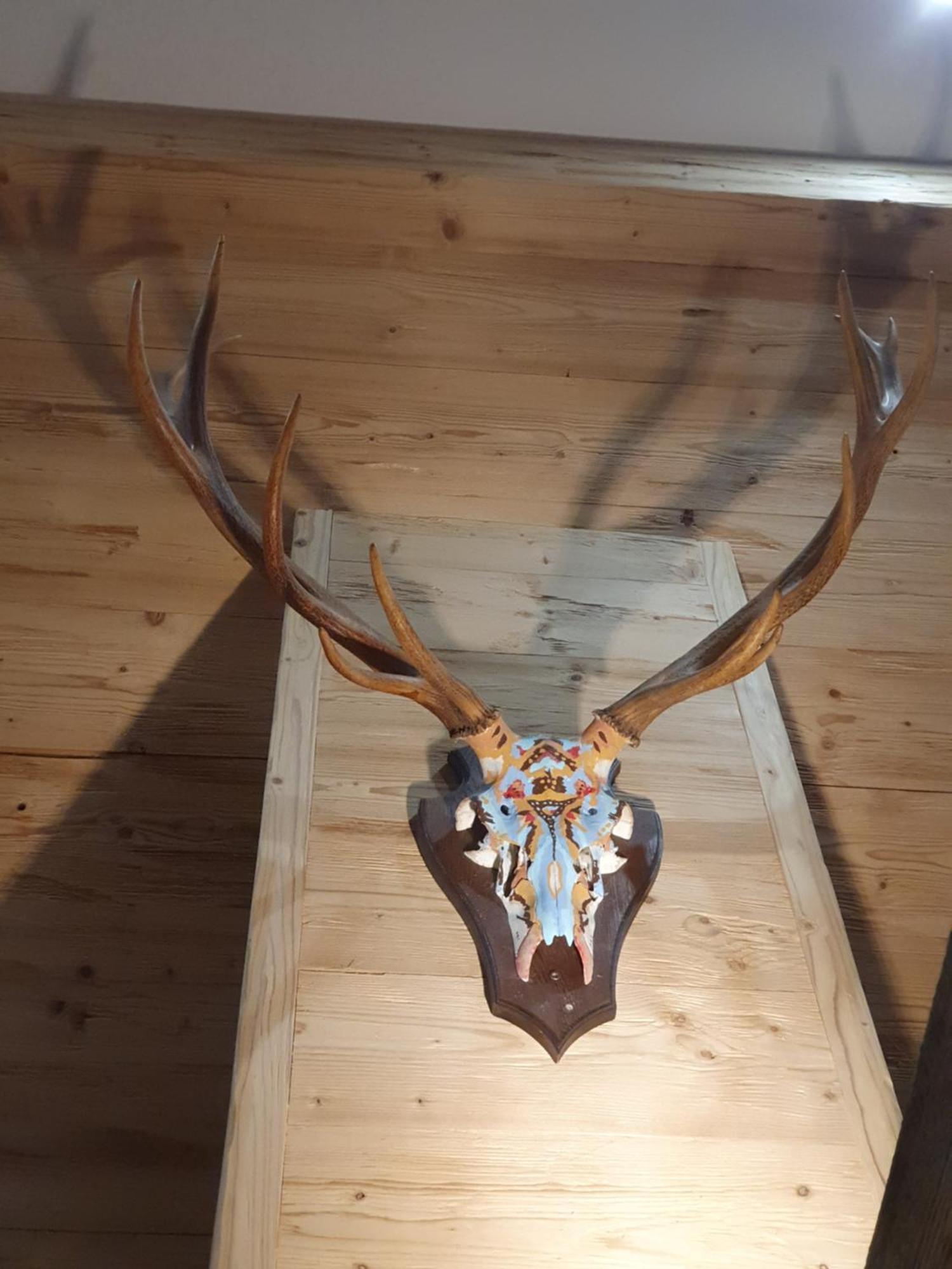 Wlodgeone Braunlage Dış mekan fotoğraf